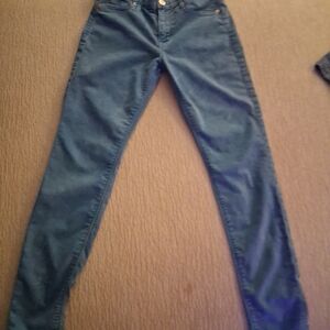 Hudson Jeans Women's Skinny Jeans - Blue